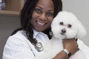 Lili Veterinary Hospital