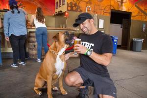 Angel City Brewery