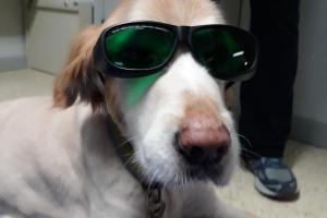 North Madison Veterinary Clinic