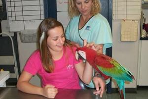Bienville Animal Medical Center
