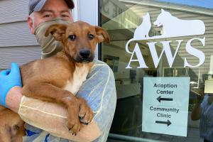 Animal Welfare Society