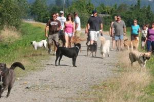 Walnut Park Off Leash Area