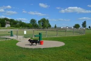 Champaign Bark District Dog Park
