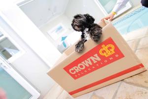 Crown Relocations