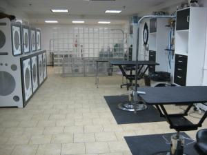 Sophie and Teddy's Grooming Salon