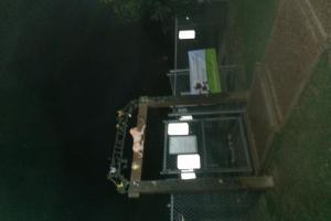 Officer Lucy Dog Park