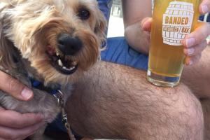 Banded Oak Brewing Company