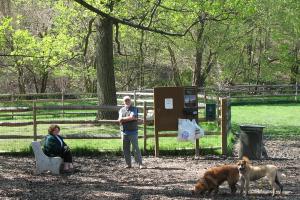 Curtis Dog Park