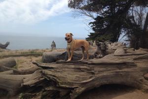 Douglas Family Preserve