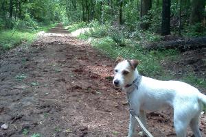 Croft State Park