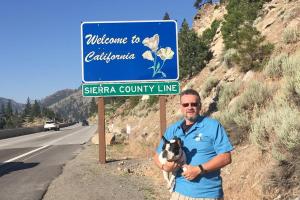 SafePet Transport
