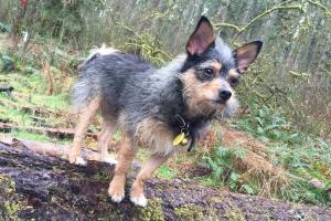 Silver Falls State Park