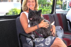 The Wave - Nantucket Regional Transit Authority