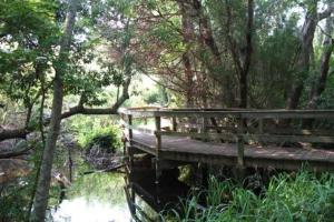 The Sea Pines Forest Preserve