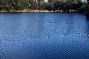 Eagle Lake Park
