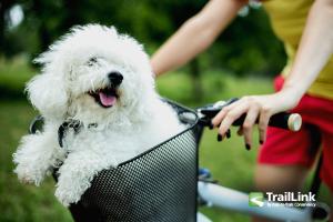 Zionsville Rail Trail