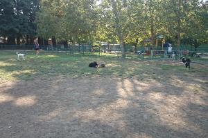 Willow Oaks Dog Park