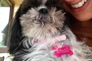 Prancing Paws Dog Walking and Pet Sitting