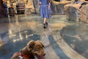Bass Pro Shops