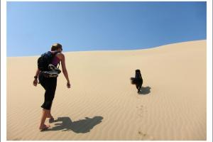 John Dellenback Dunes Trail