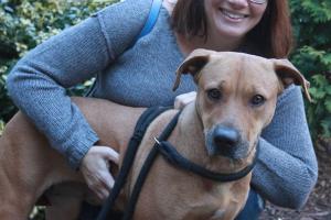 Animal Welfare League 