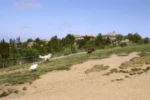 San Elijo Hills Dog Park