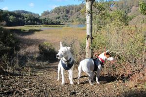 Lake Chabot Regional Park
