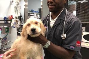 The Village Vets of Buckhead