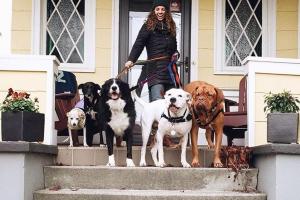 Fetch! Pet Care of Albuquerque & Rio Rancho