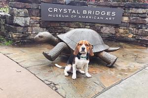 Crystal Bridges Trails and Grounds