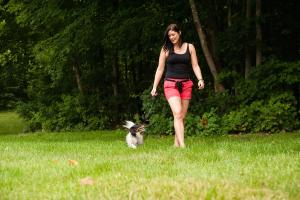 The Dog Path