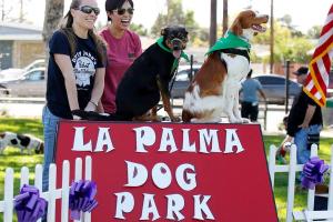 La Palma Dog Park