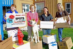 Spots Dog Grooming