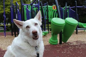Bald Hill Park