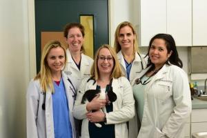 Columbia Pike Animal Hospital & Emergency Center