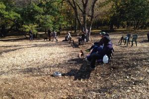 Lake of the Isles Dog Park